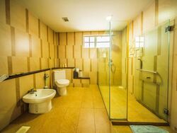 Serangoon Avenue 3 (D19), Detached #483301331